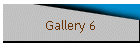 Gallery 6