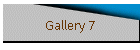 Gallery 7